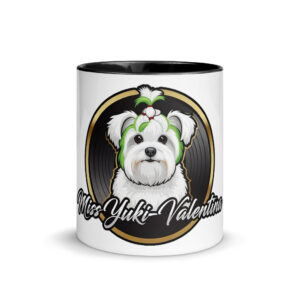 Mug with Color Inside